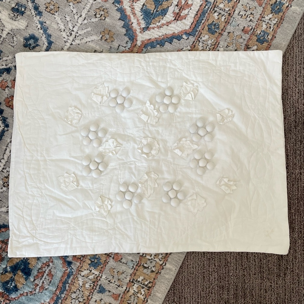 2 matching regular sized pillow shams
